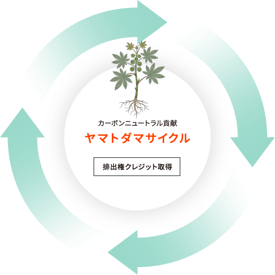 ヤマトダマが生み出す循環